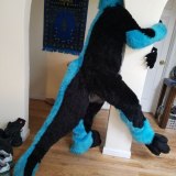 photo_2023-11-25_09-01-10