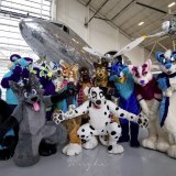 photo_2023-11-25_09-02-08