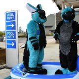 photo_2023-11-25_09-02-11