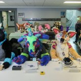 photo_2023-11-25_09-02-31