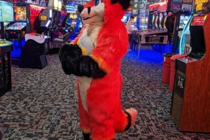 Furball Arcade