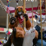 gotf2026-00129-be-hd