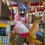 gotf2026-00148-be