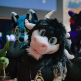 gotf2026-00155-be