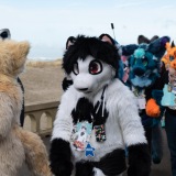 Get Out The Float 2026 Parade