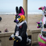 Get Out The Float 2026 Parade