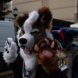 Get Out The Float 2026 Parade