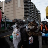 Get Out The Float 2026 Parade