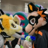 Get Out The Float 2026