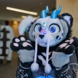 Get Out The Float 2026