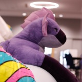 Get Out The Float 2026