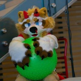 Get Out The Float 2026