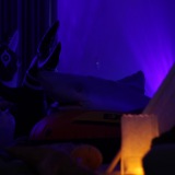 Get Out The Float 2026