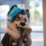 Get Out The Float 2026