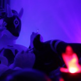 Get Out The Float 2026