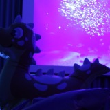 Get Out The Float 2026