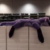 Get Out The Float 2026