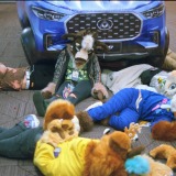 Get Out The Float 2026