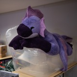 Get Out The Float 2026