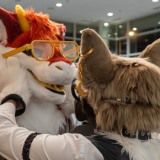 Get Out The Float 2026