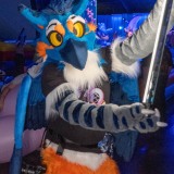 Get Out The Float 2026