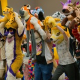 Get Out The Float 2026