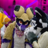 Get Out The Float 2026