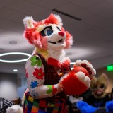 gotf2026-00076-mg