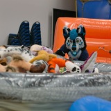 Get Out The Float 2026