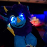 Get Out The Float 2026