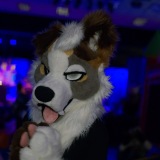 Get Out The Float 2026