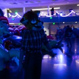 Get Out The Float 2026