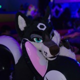 gotf2026-00182-be