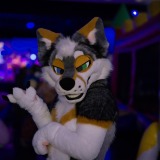gotf2026-00183-be