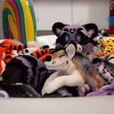 Get Out The Float 2026