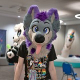 gotf2026-00196-be
