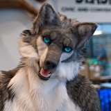 gotf2026-00197-be