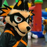 gotf2026-00200-be