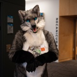 Get Out The Float 2026