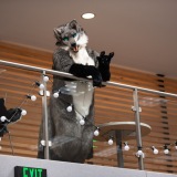 Get Out The Float 2026