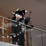 Get Out The Float 2026