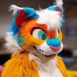 Get Out The Float 2026