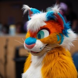 Get Out The Float 2026