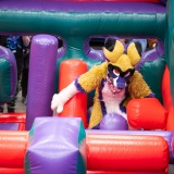 Get Out The Float 2026