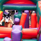 Get Out The Float 2026