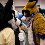 Get Out The Float 2026