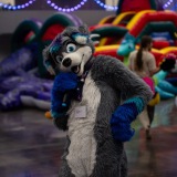 Get Out The Float 2026