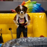 Get Out The Float 2026