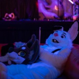 Get Out The Float 2026