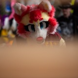 Get Out The Float 2026